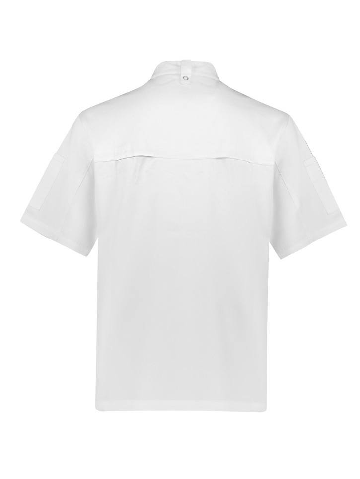Mens Zest Short Sleevewhite back